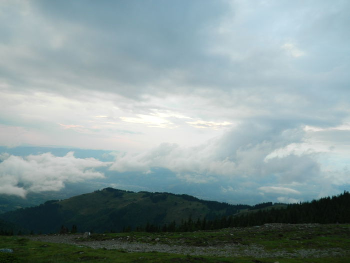 DSCN9123