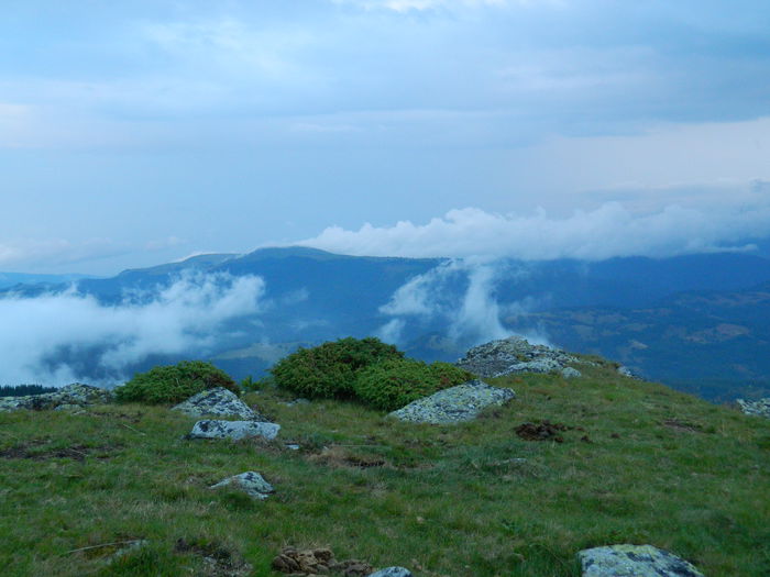 DSCN9132
