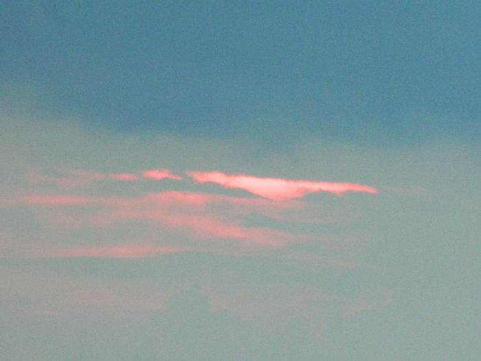 DSCN9133