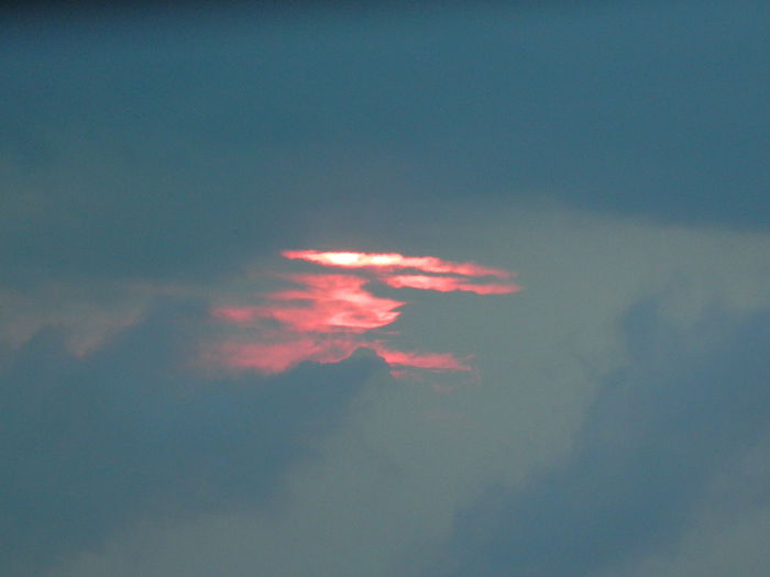 DSCN9144