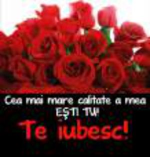 cea_mai_mare_calitate_a_mea_esti_tu_te_iubesc_trandafiri_rosii_declaratie-1 - Alege poza cu un mesaj de dragoste