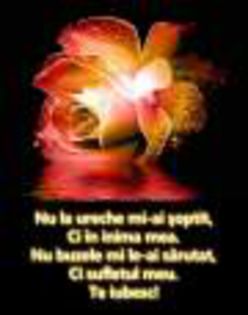 ureche_soptit_in_inima_buzele_sarutat_in_sufletul_meu_te_iubesc-1