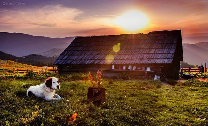 10484047_749140831814206_865861552415726492_n - Coltul meu de Rai