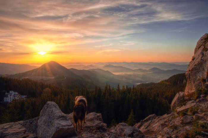 10485015_721926314535658_4711286581161584713_n - Coltul meu de Rai