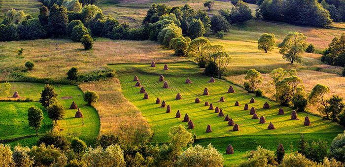 10525924_731538030241153_1393387853551371894_n