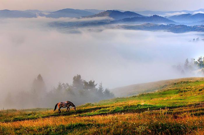 10547493_749577325103890_3528770343473082490_n