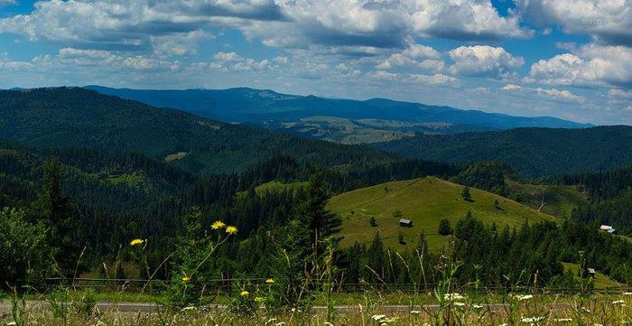 10559842_740473029347653_8274728018691660797_n