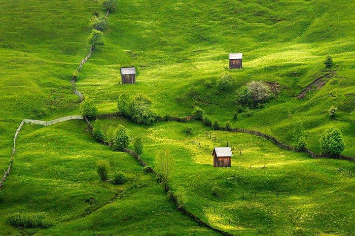 10580060_744416315619991_2030352478646012627_n