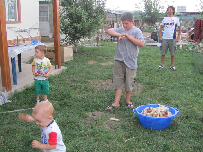 IMG_1559 - vara 2014