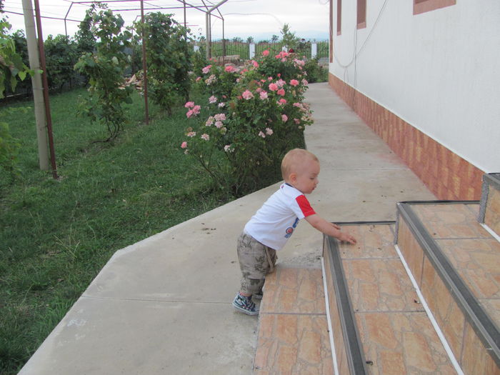 IMG_1568 - vara 2014