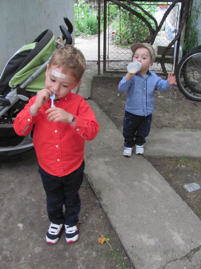 IMG_1601 - vara 2014