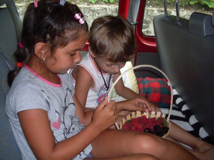 SDC13461 - LA MARE 2014