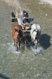 horses-in-water; http://www.youtube.com/watch?v=e94OkEwQxEo
