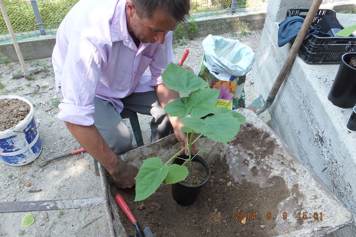 DSCF4015; Ajutoare de nadejde carora le multumesc pentru tot!
