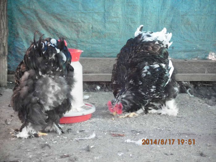 10338526_1521628431404290_4483371108165890896_o