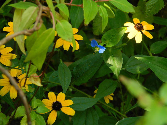 DSCN7116 - AUGUST_2014