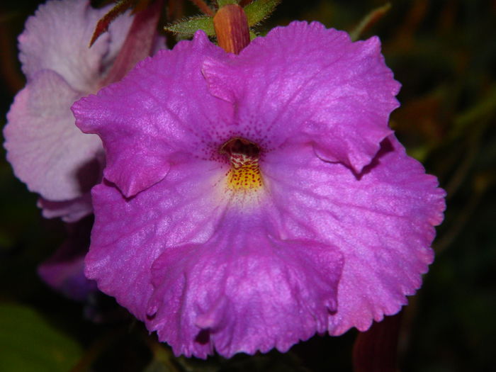 DSCN7131 - AUGUST_2014