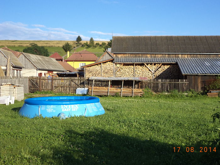 Gradina lui Sabin - Iezii Alpina Franceza si stramosul lor Capra aegagrus