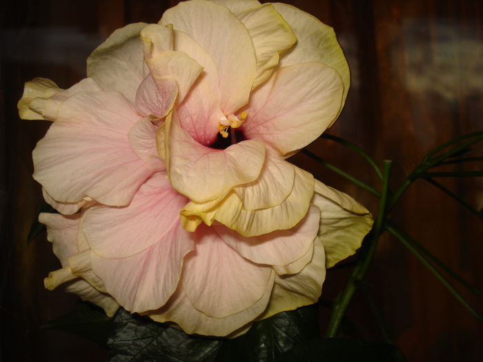 DSC09563