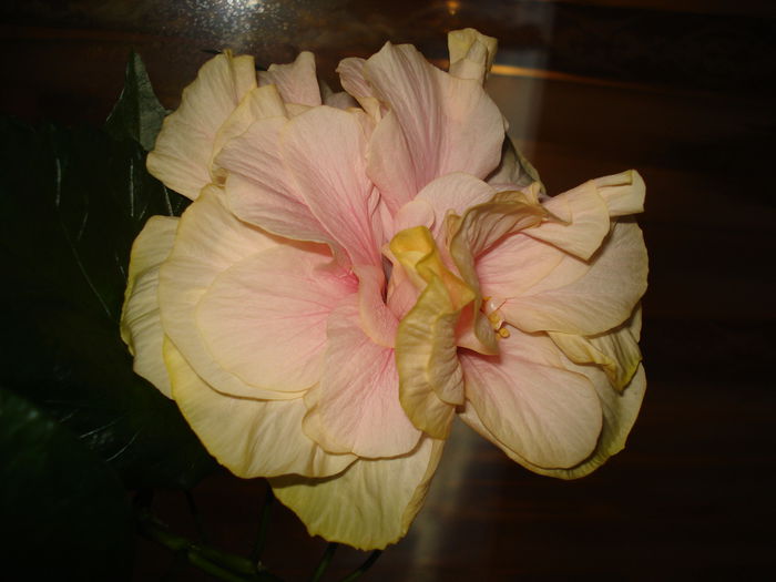 DSC09562