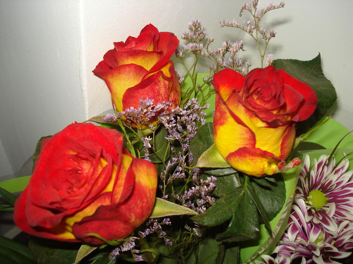 DSC09566