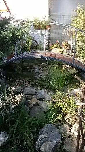 WP_20140730_09_05_11_Smart