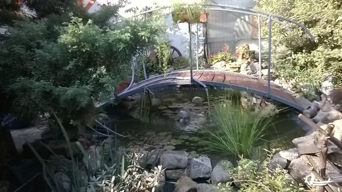 WP_20140730_09_05_20_Smart