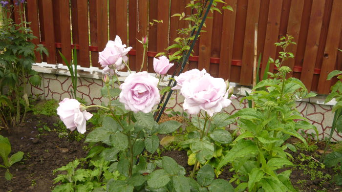032
