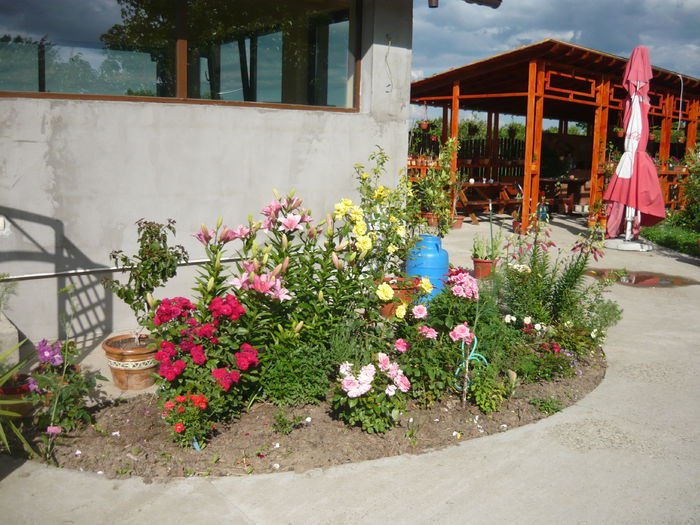 036 - 2014 vara