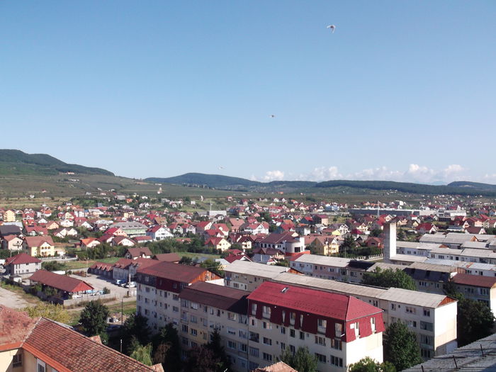 Picture 3828 - PORUMBEI GAT-GOLAS