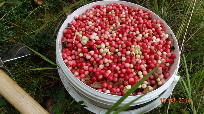 A trebuit sa ne retragem , deoarece a venit ploaia, maine reluam din nou :))