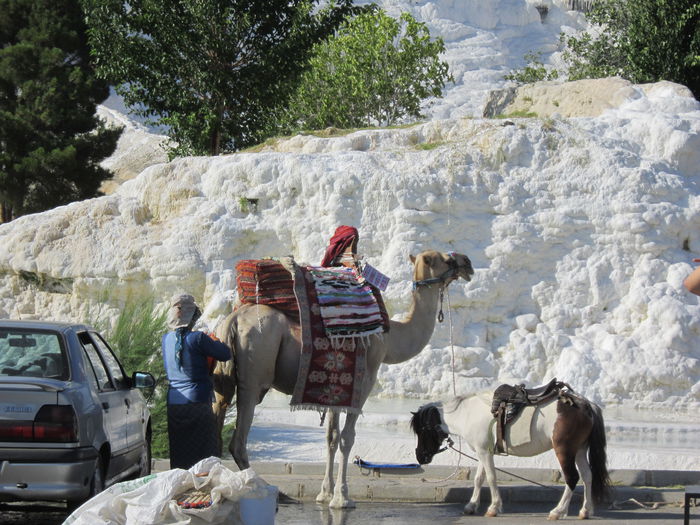 IMG_4608 - Pamukkale
