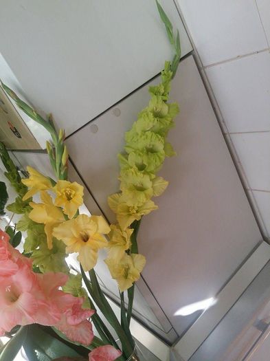 10592567_754574844584623_1838112606_n