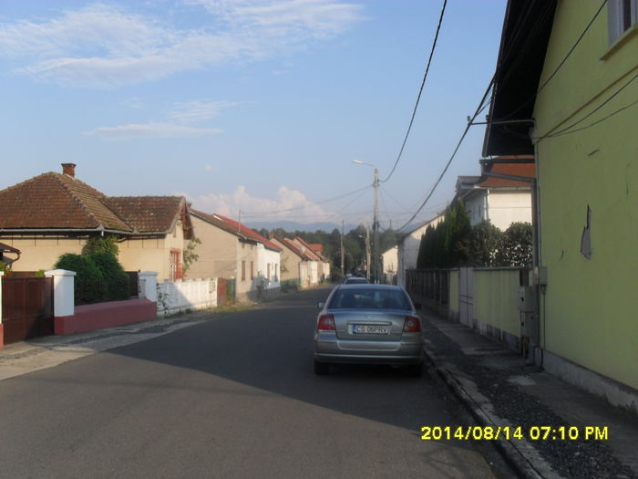 Otelu Rosu