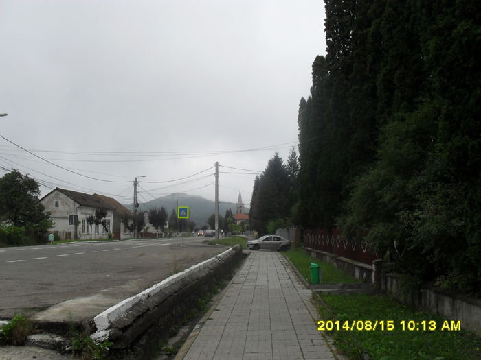 Otelu Rosu