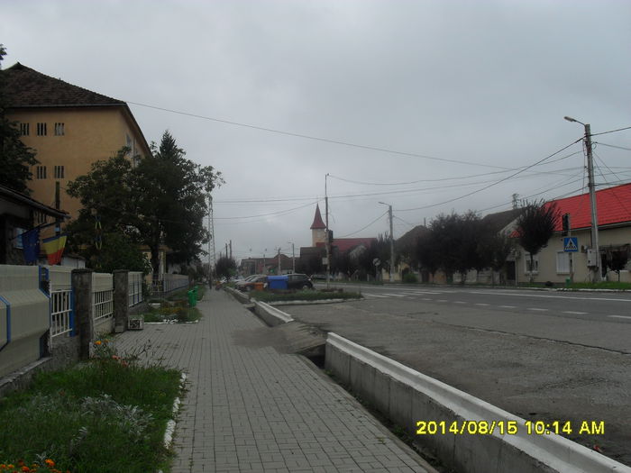 Otelu Rosu