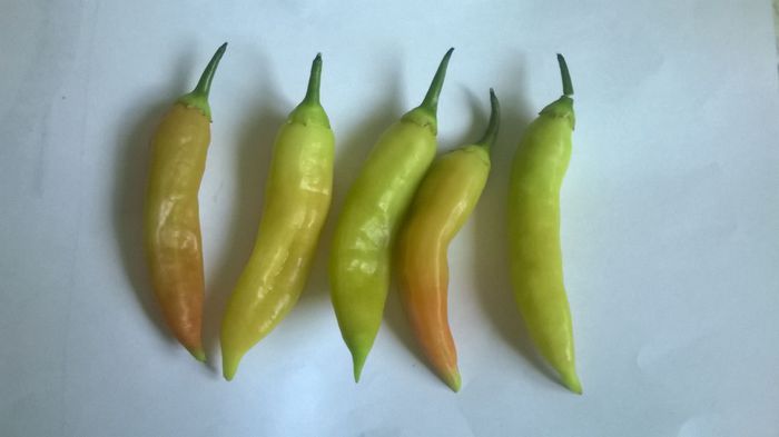 Aji Cristal