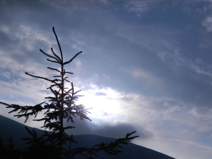 DSCN9224 - PARANG_6_2014