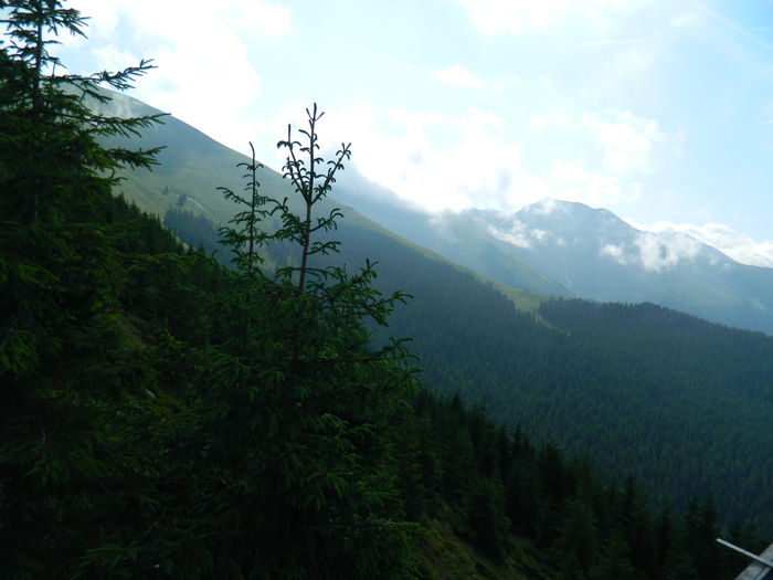 DSCN9242 - PARANG_6_2014