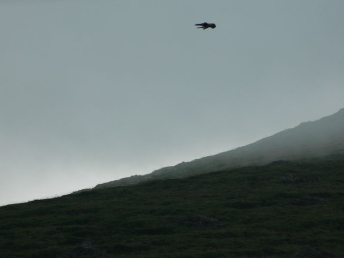 DSCN9275 - PARANG_6_2014