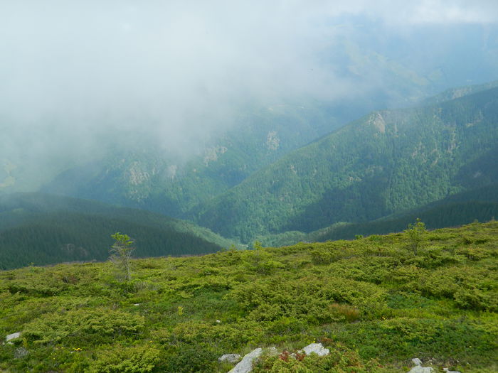 DSCN9286