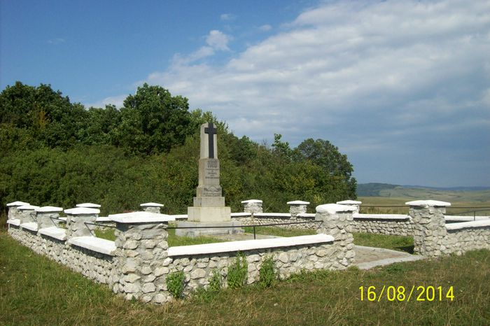 MONUMENTUL EROILOR DIN 1914-1916 DE LA PADUREA LENTEA INTRE SATUL PALOS SI COHALM.