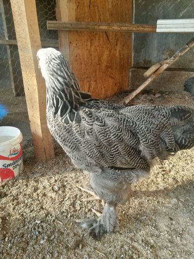 20140712_190059_Richtone(HDR)