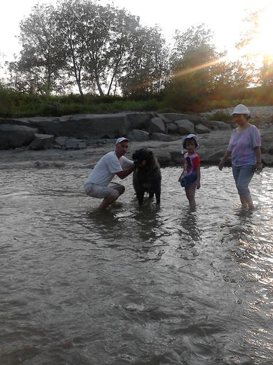 IMG_20140815_191552 - ciobanesc caucazian