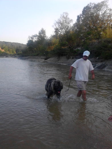 IMG_20140816_191411 - ciobanesc caucazian