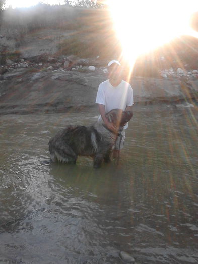 IMG_20140816_191537 - ciobanesc caucazian