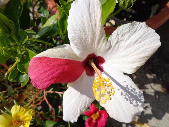 091
