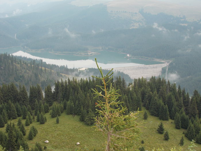 DSCN1908; Lacul Bolboci vazut de pe Varful Zanoaga - 2014
