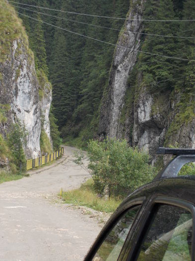 DSCN1922; Cheile Tatarului - 2014
