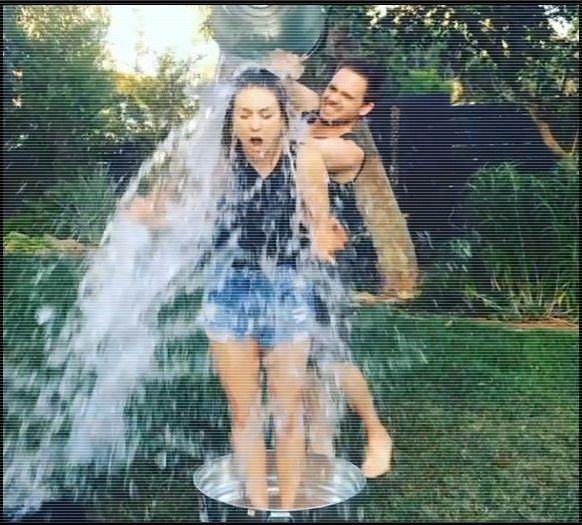 ♛ Troian Bellisario ♛ the WINNER